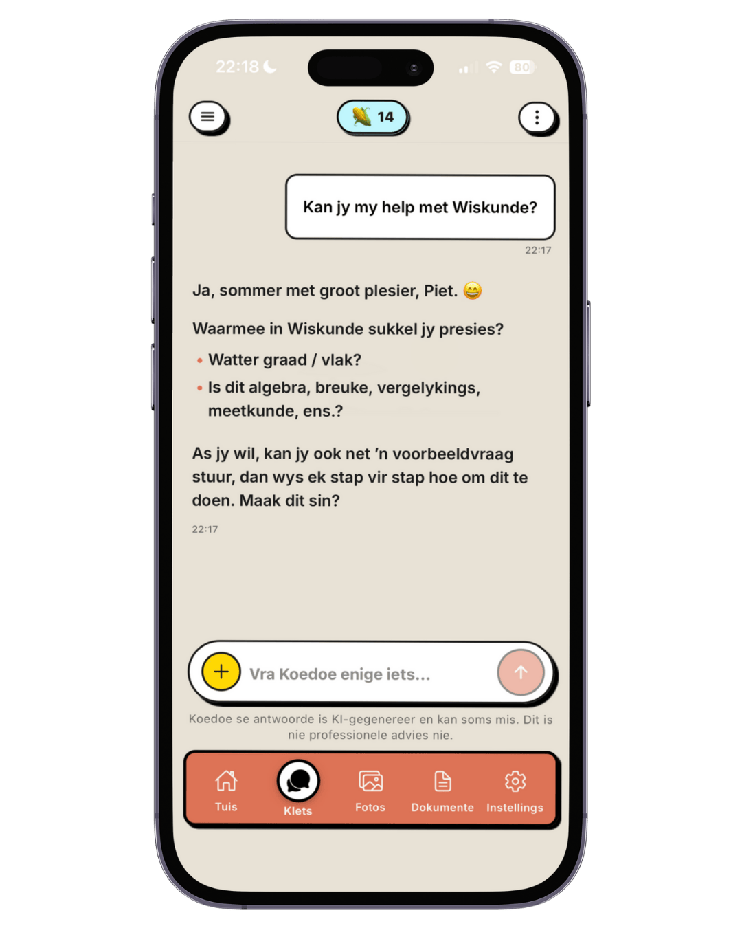 Koedoe Chat Interface